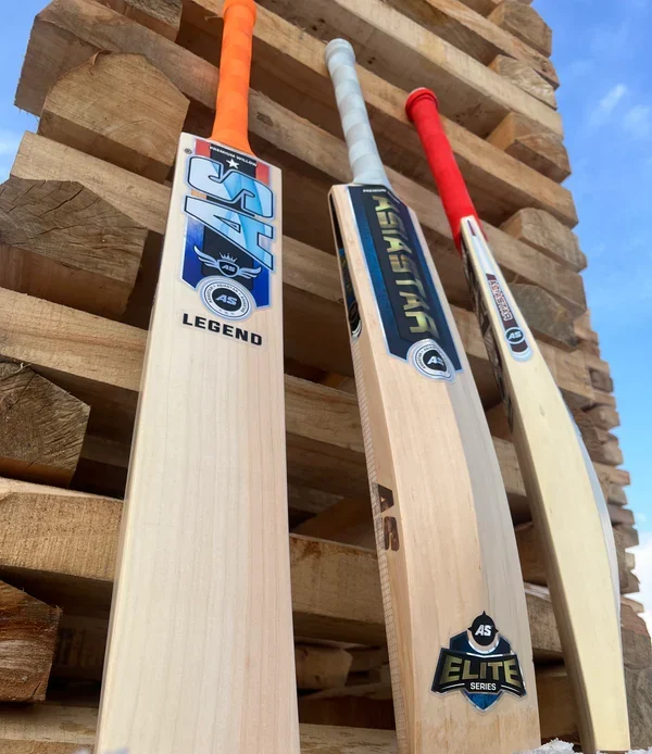 premium-kashmir-willow-cricket-bat-legend-grains